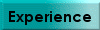 Experience